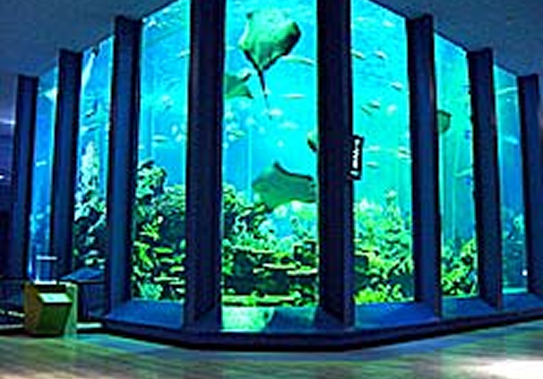 海のはくぶつかん 東海大学海洋科学博物館